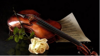 意境图 专业小提琴演奏,一场至美的视听盛宴