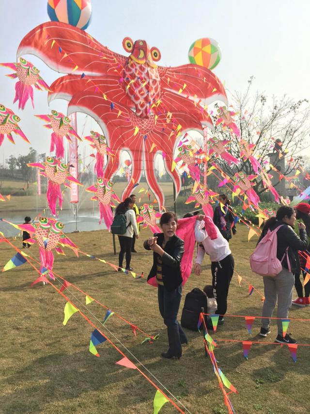 万人聚保利狮子湖风筝节 成都春天从今天开始