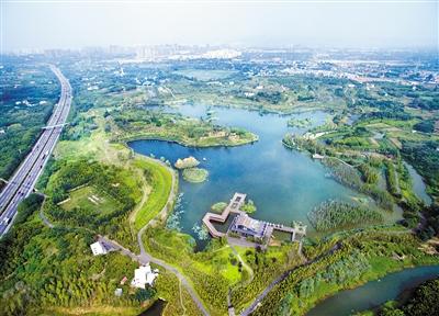 成都首个白鹭湾湿地公园 获批国家城市湿地公园