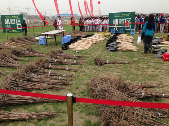 中国西部首届亲子植树节大型公益活动