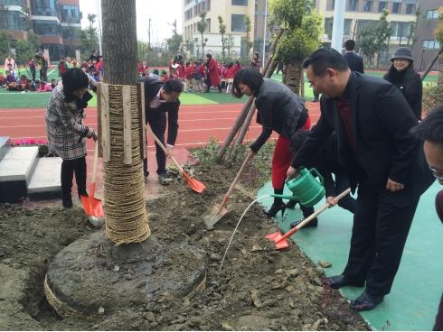 中德集团与成都师范银都紫藤小学联合举办植树