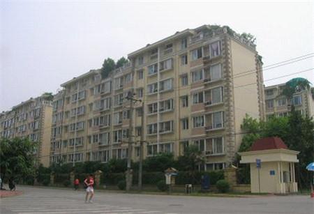 曾经的成都本土地产大鳄齐力房产开发的"齐力花园"