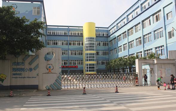 图为紧邻西三环瑞联路旁的泡桐树小学境界校区