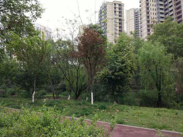 成都二环买房看这里 附在售楼盘半年前后价格