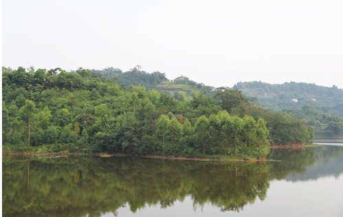 金马湖实景图