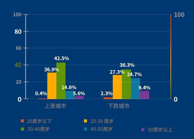 点击图片查看详情 收入证明_重要性水平 收入(2)
