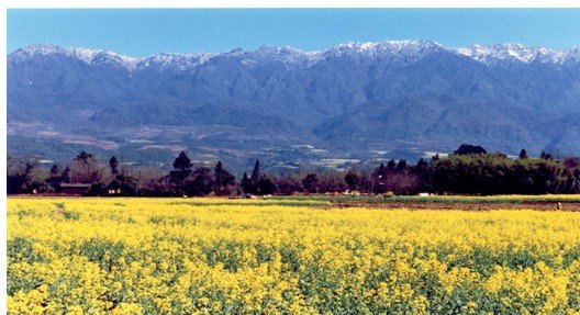 雅居乐云南原乡,高黎贡山下的第二人生