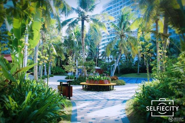 文昌打造泰国街与国际接轨 重庆崽儿买房赚翻 