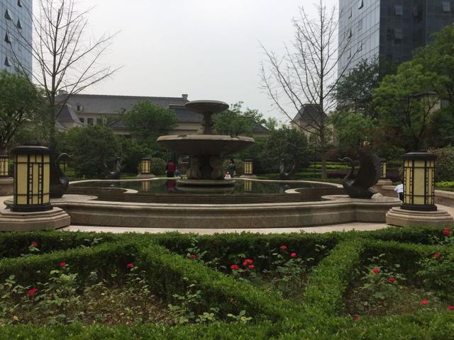 绿城玫瑰园业主质疑小区绿化严重缩水—万家房产网