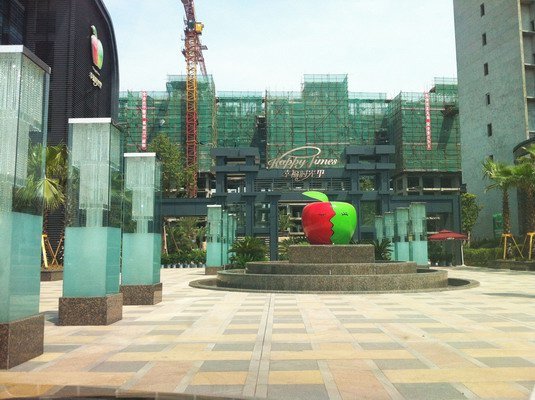 幸福时光里--茶园里的小小幸福