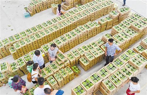 双福国际农贸城水果市场昨开业_房产重庆站_腾讯网