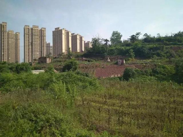 重庆主城2宗商住用地出让 金科+旭辉拿下鱼洞地块