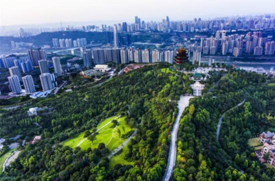 鸿恩寺森林公园拾景图