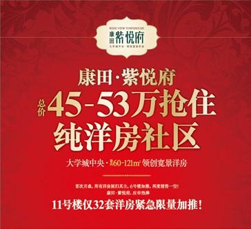 洋房仅需45万 康田紫悦府11号楼1月25日加推