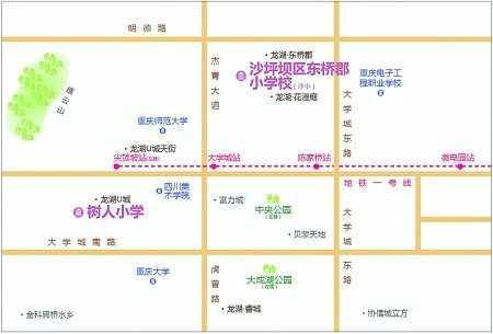 树人和沙小进驻大学城办分校