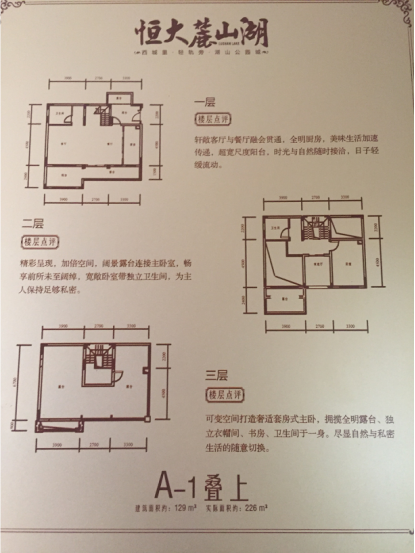 (叠上客厅户型(阳台上的风景)周边配套由于恒大麓山湖的景色太过怡人