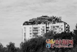  屋顶 奇葩:修别墅建庙宇搞园林 种菜 晾衣 争议大