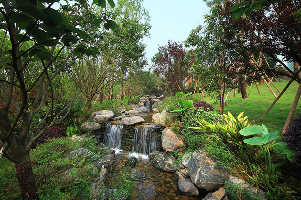 365个日夜雕琢终迎凤舞龙城 双远·凤凰郡动工