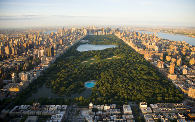 重庆公园大道,城市重生的主角