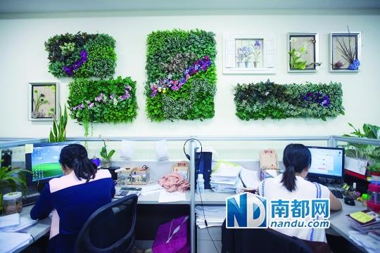 杨国强在碧桂园总部大楼用环保理念建森林式