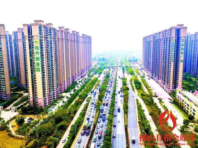 开放丹灶:融入粤港澳大湾区建设