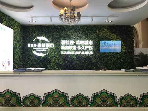 碧桂园·森林城市南海销售中心开放 启幕海外