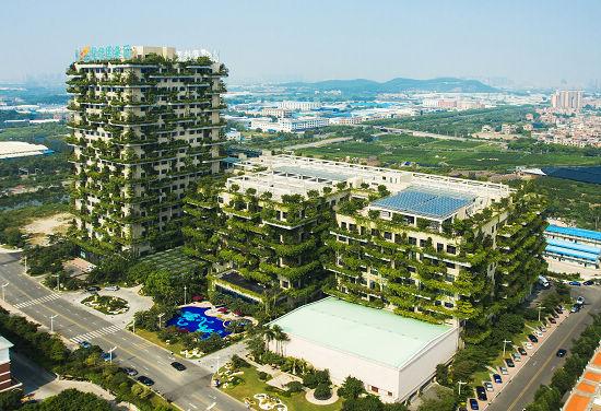 碧桂园人2014年社会责任报告