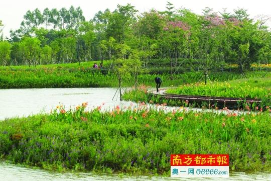 大良：努力成为“幸福顺德”典范 积极引领东部新城发展