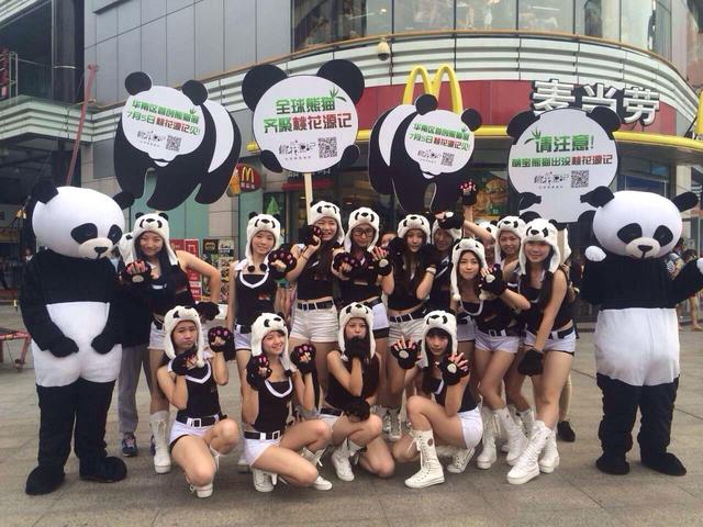 “熊猫美女”玩快闪 最中国风的“国际范”_房产佛山站_腾讯网