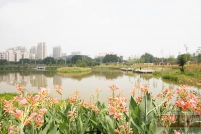 两年内禅城新增绿地55公顷 相当于77个足球场