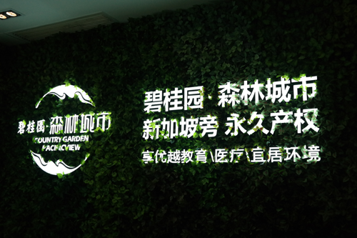 碧桂园·森林城市南海销售中心开放 启幕海外