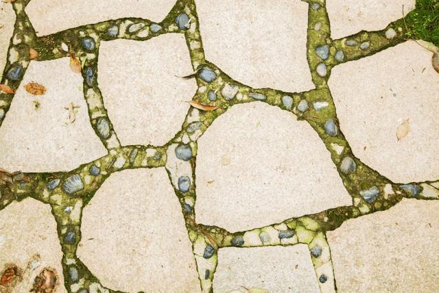 像梵高画画一样造房子,绿城微观印象展即将首