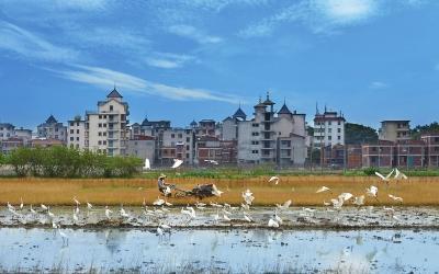 连江马鼻镇GDP_连江马鼻镇旅游景点(3)