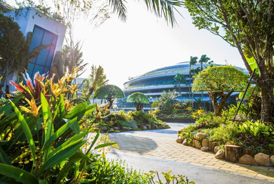 碧桂园森林城市:下一个迪拜还是新加坡