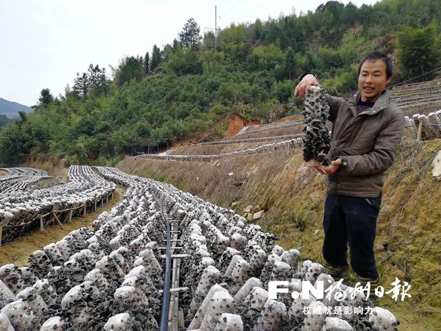 "昨日,闽清县东桥镇黄土岭村建档立卡贫困户江贤辉,看着自家种植场