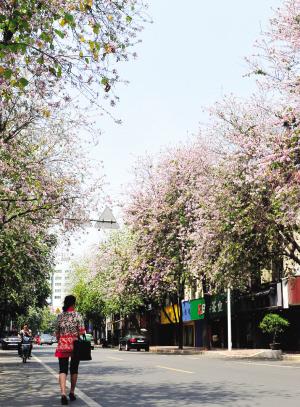 温泉支路路口地块项目征收补偿方案确定