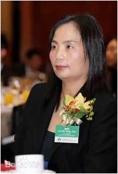 泰禾集团董事副总裁沈琳女士当选中国地产界十