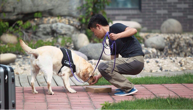 3月7日来颐荷与狗狗来次心灵沟通_房产福州站_腾讯网