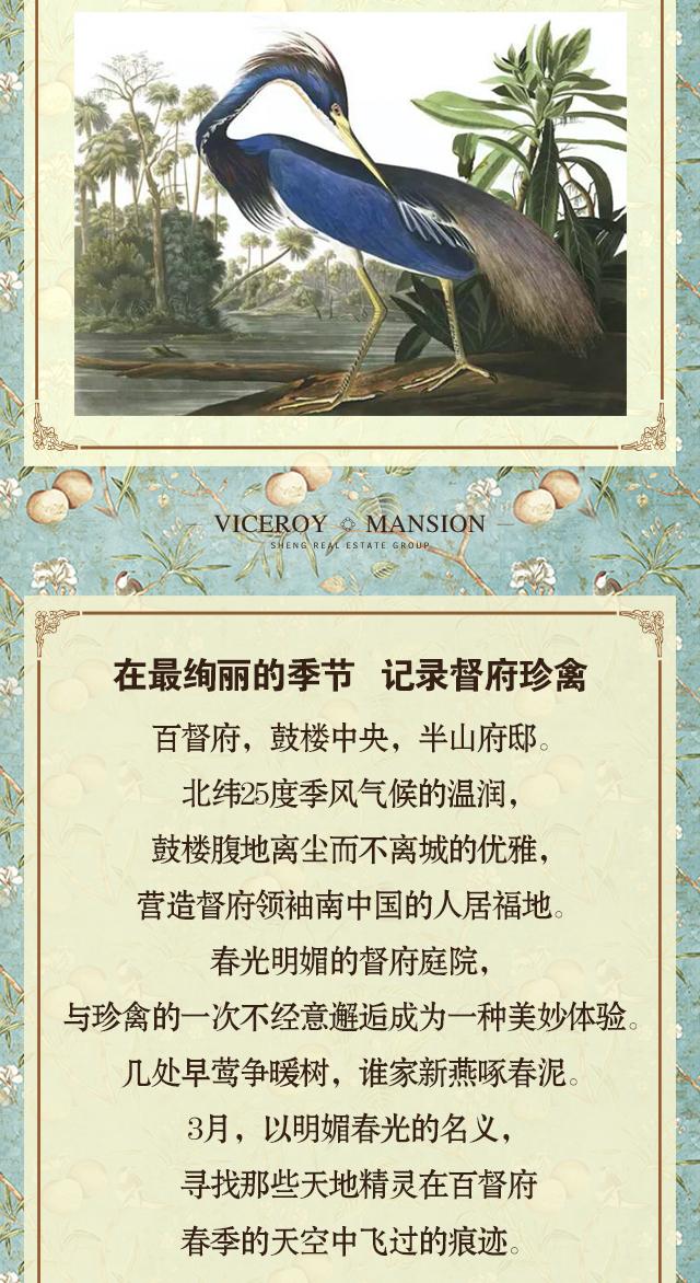 百督府:以春之名 推荐一本世界上最贵的书