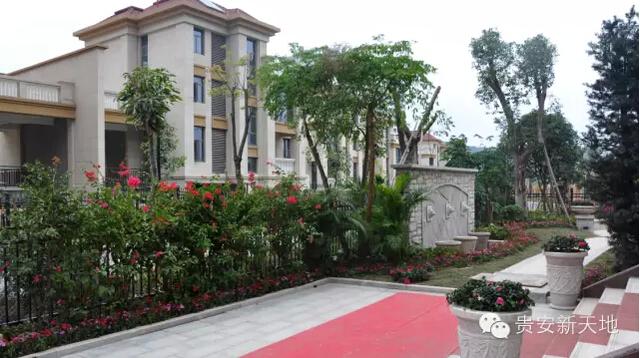 中国人均住宅_福州市人均住宅面积(3)