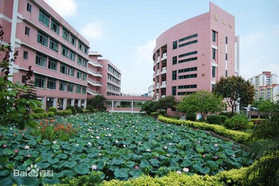 在教育方面,时代长岛(广州)附近有海力幼儿园,金洲小学,南沙一中等