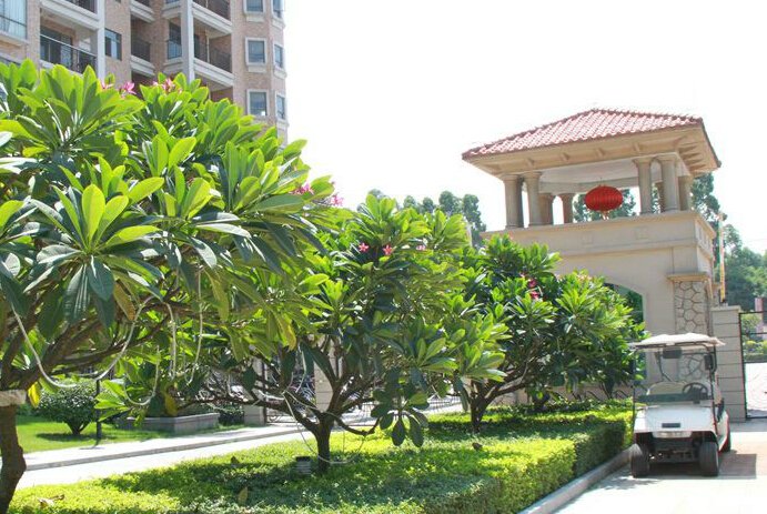 11月22日中国美林湖+新都广场_房产广州