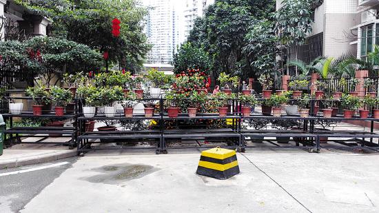 银禧花园用花架挡住市政规划路