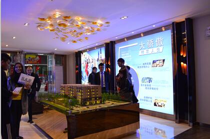 珠光控股20载辉煌再启 全新项目御景骏庭盛大