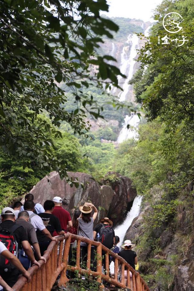 白水寨景区游客排队拍照 来源:实拍