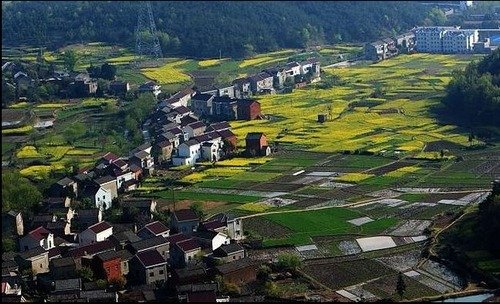网友实拍安徽农村房 真正的小别墅田园生活