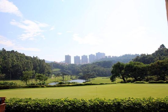 珠海同城中山澳门牌子好不好 哪款好评价