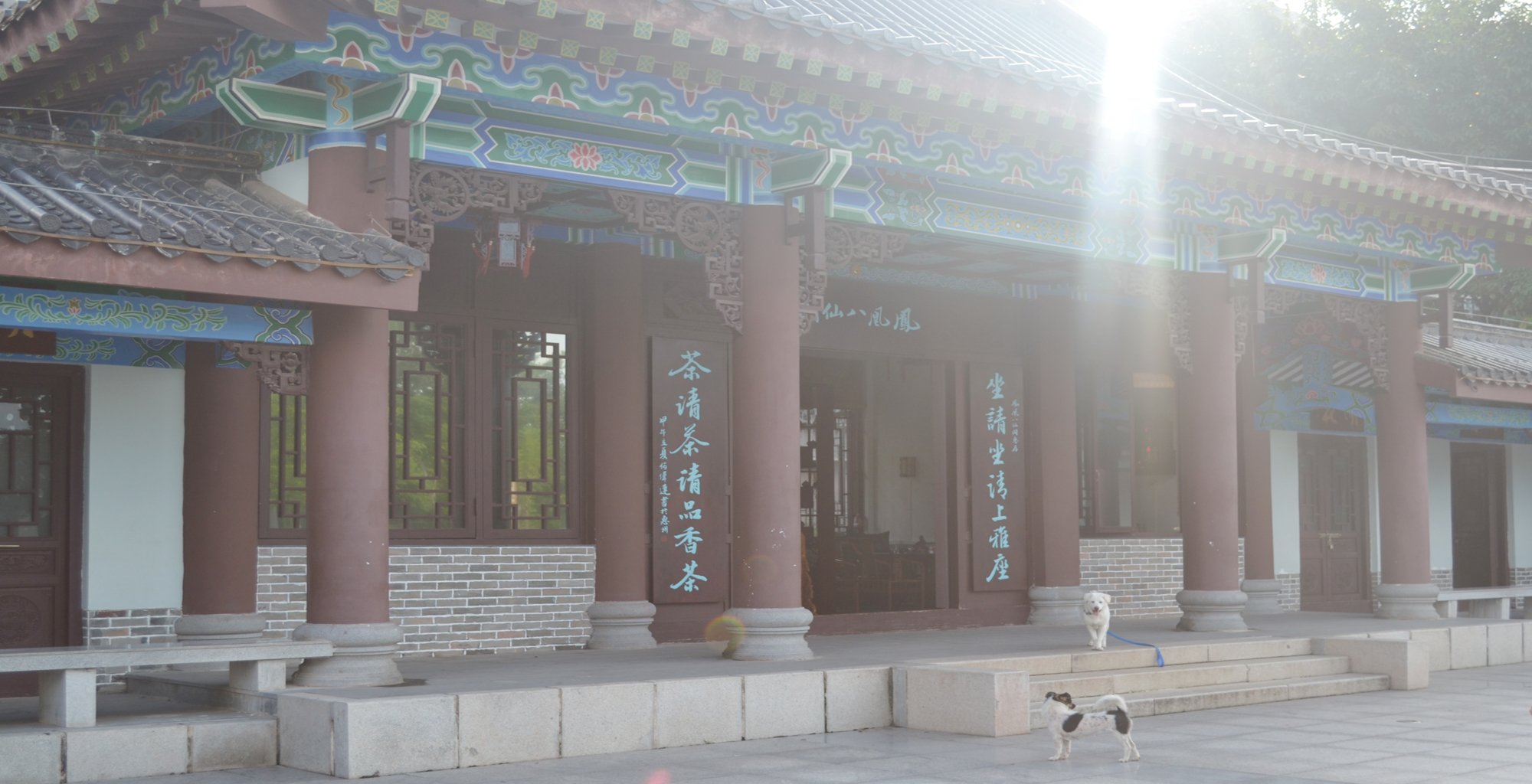 【行摄惠州】秋日鹅城掠影 探访沉寂百年的丰湖书院