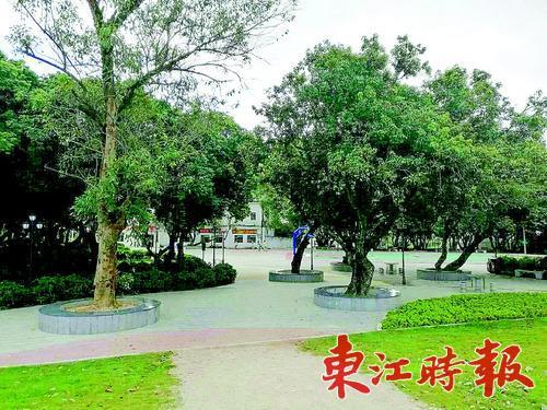 漳浦县人均_漳浦县医院图片(3)