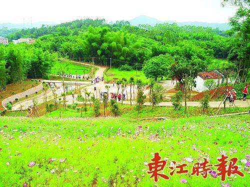 惠城将鼓励农村老房子转租开发民宿